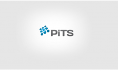 Pits - logo